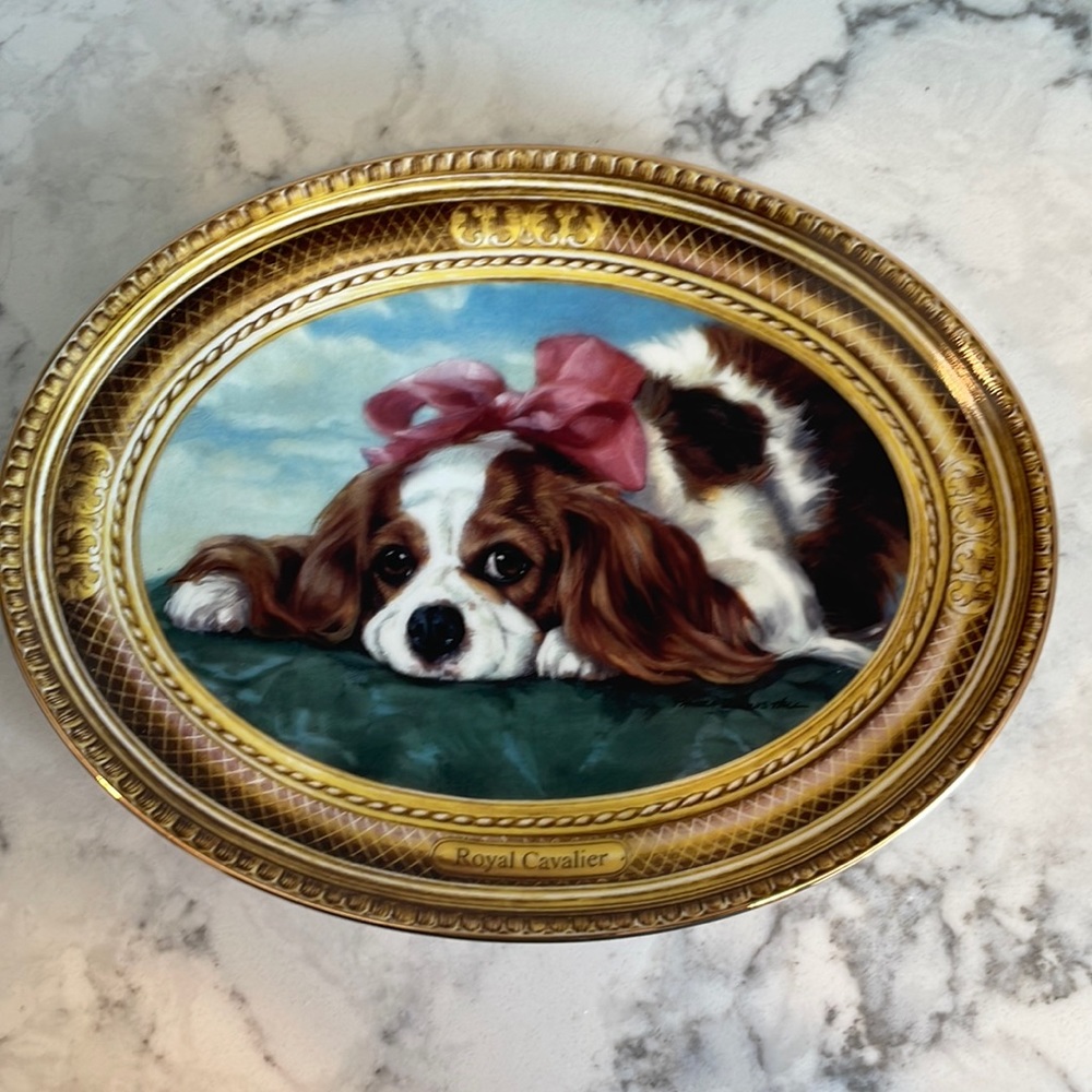 Beautiful cavalier king Charles spaniel plate entitled royal cavalier.